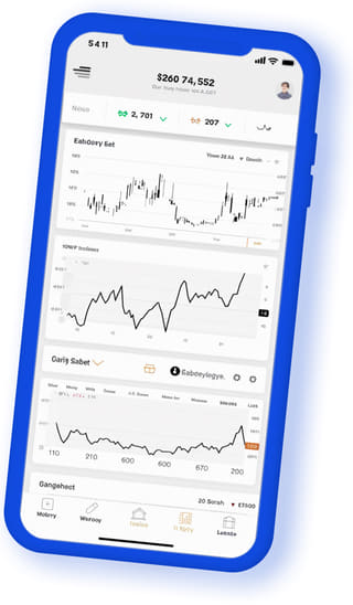 Rio Capitorio digital web application on mobile device